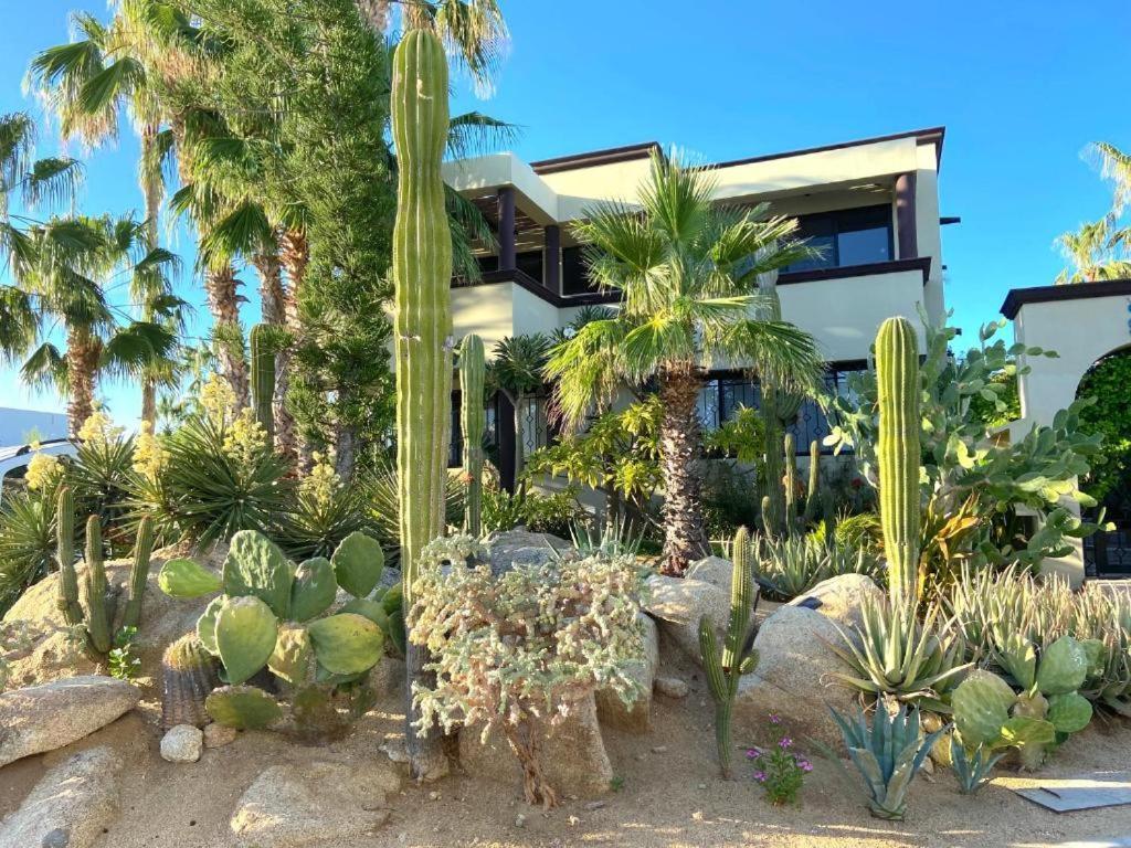 Spectacular Vacation Home Ocean View Walk To Beach Cabo San Lucas Buitenkant foto